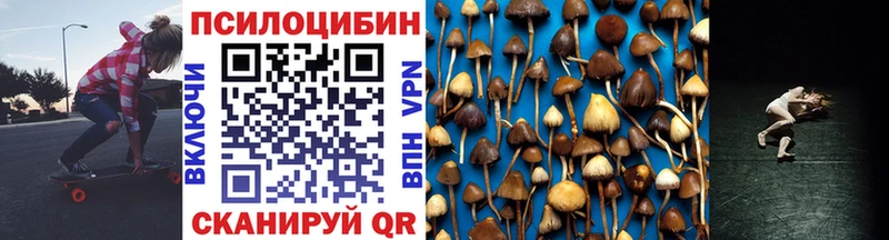 Псилоцибиновые грибы мицелий  Приволжск 